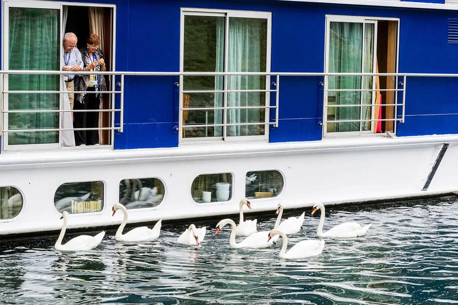 CRUCEROS FLUVIALES DE LUJO MS AMADOLCE AMADEUS WATERWAYS LUXURY RIVER CRUISES MS AMADOLCE GARONNE DORDOGNE RIVER CRUISES CRUCEROS RIO GARONA CRUCEROS RIO DORDOÑA CRUCEROS RIOS FRANCIA CRUCEROS DE LUJO BURDEOS BORDEAUX CROISIERES LUXURY CRUISES FRANCE CRUCEROS FRANCIA WINE CRUISES CRUCEROS VINO CRUCEROS ENOLOGICOS VACACIONES ENOLOGICAS BODEGA #Bodegas #Bordeaux #WineCruises #CrucerosLujo #AmaWaterways #AmadeusWaterways #Burdeos #RioGarona #RioDordoña #CrucerosFrancia #FranceCruises #FranceCroisieres #Croisieres #Bidaiak #Creuers #Viatges #Vacances #AmaDolce #Bordeaux #Burdeos #Balcony #BalconFrances #FrenchBalcony #AmaWaterways